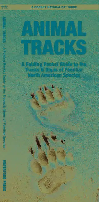 Animal Tracks: A Folding Pocket Guide to the Tracks & Signs of Familiar North American Species