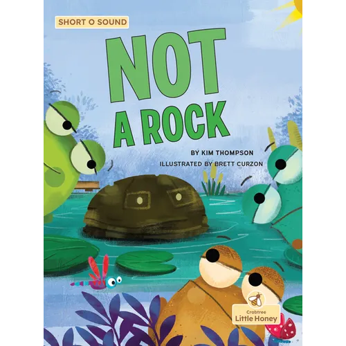 Not a Rock - Paperback