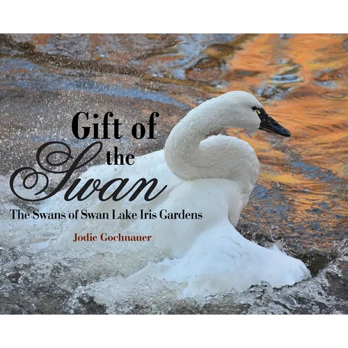Gift of the Swan: The Swans of Swan Lake Iris Gardens - Hardcover