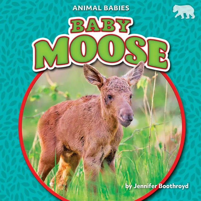 Baby Moose - Paperback