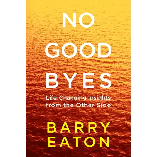 No Goodbyes: Life-Changing Insights from the Other Side - Paperback