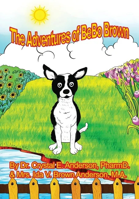 The Adventures of Bebo - Paperback