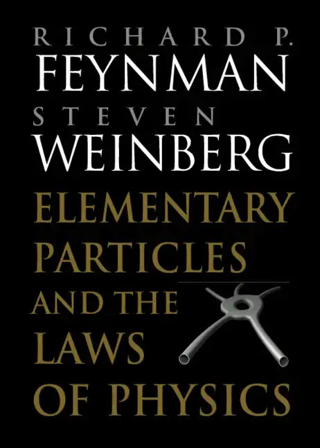 Elementary Particles and the Laws of Physics - Paperback