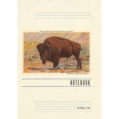 Vintage Lined Notebook Greetings from Idaho Springs - Paperback