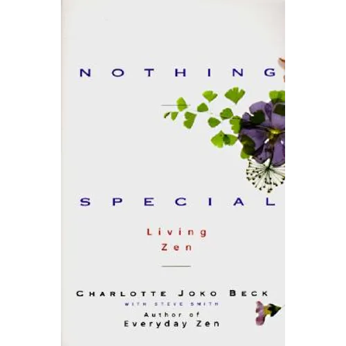 Nothing Special - Paperback