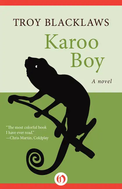 Karoo Boy - Paperback
