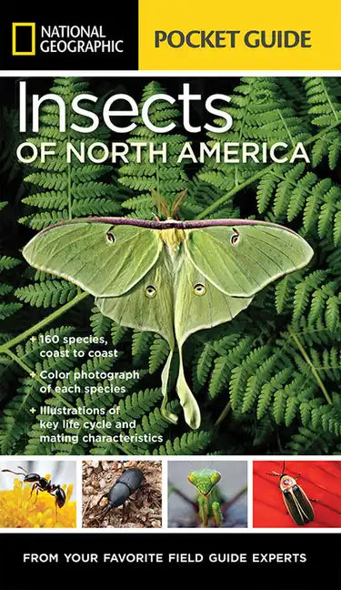 National Geographic Pocket Guide to Insects of North America: From Your Favorite Field Guide Experts - Paperback