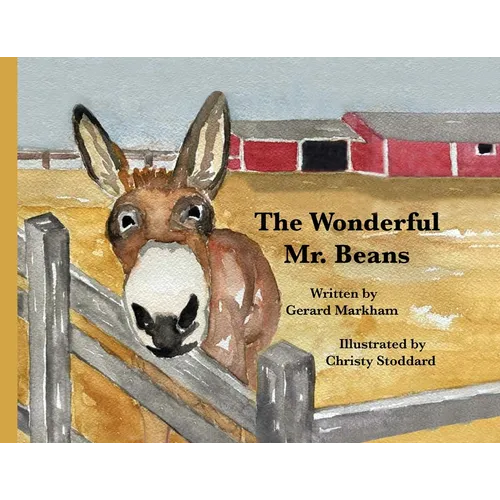 The Wonderful Mr. Beans - Paperback