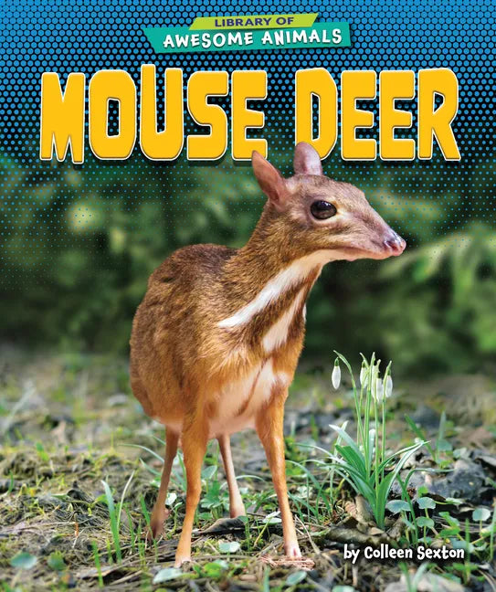 Mouse Deer - Paperback