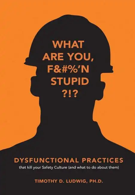 Dysfunctional Practices - Hardcover