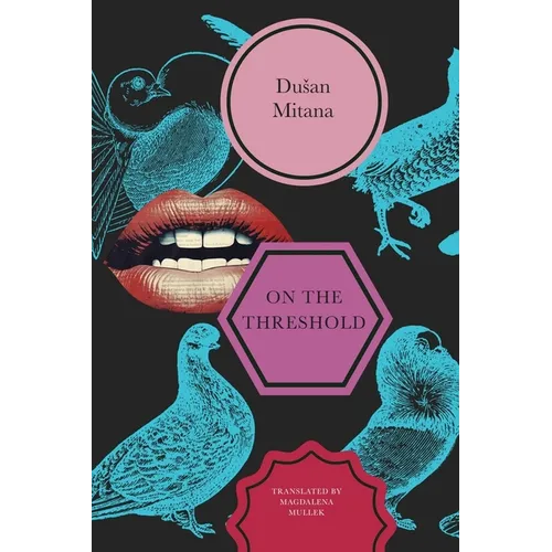 On the Threshold: Short Stories - Hardcover