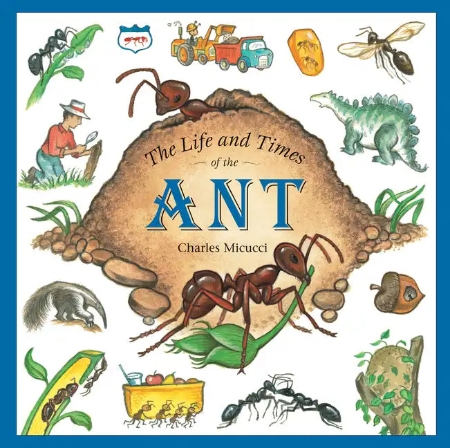 The Life and Times of the Ant - Paperback