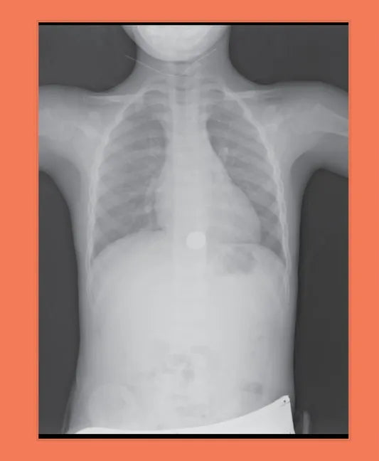 Jill Magid: Tender - Hardcover