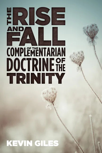 The Rise and Fall of the Complementarian Doctrine of the Trinity - Paperback
