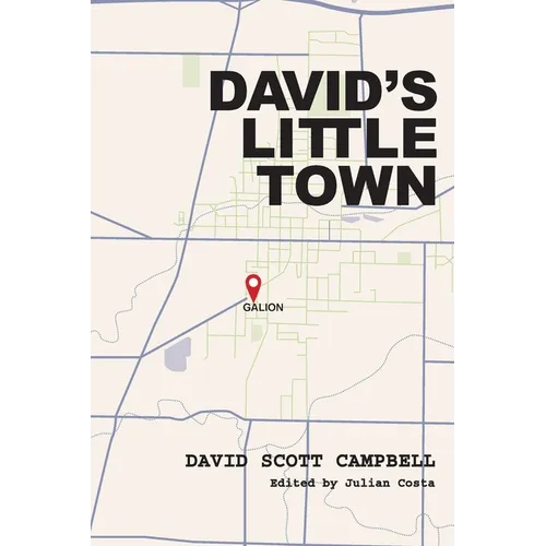 David's Little Town: Growing Up in Mid-Century Galion, Ohio - Paperback