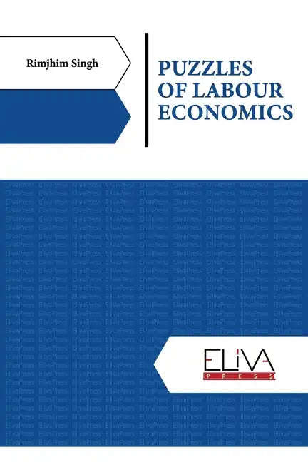 Puzzles of Labour Economics - Paperback