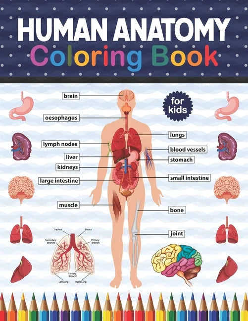 Human Anatomy Coloring Book For Kids: Human Body Student's Self-Test Coloring Book. Human Body Anatomy Coloring Book For Kids, Boys and Girls and Medi - Paperback