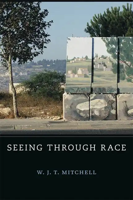 Seeing Through Race - Hardcover