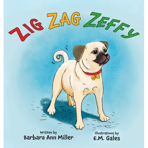 Zig Zag Zeffy - Hardcover