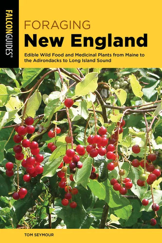 Foraging New England - Paperback