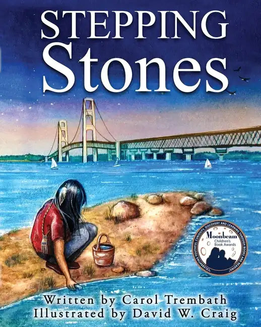 Stepping Stones: Walking Lake Michigan - Paperback