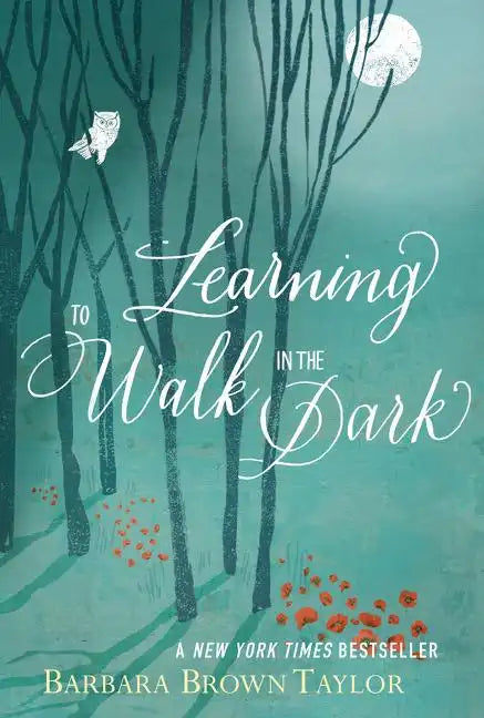 Learning to Walk in the Dark: Because Sometimes God Shows Up at Night - Paperback