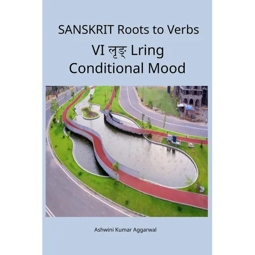 Sanskrit Roots to Verbs VI Lring Conditional Mood - Paperback