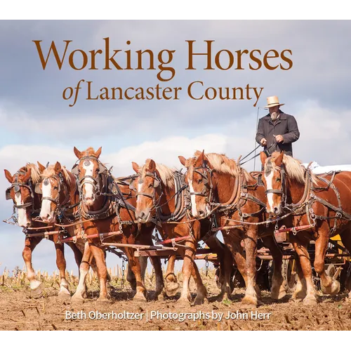 Working Horses of Lancaster County - Hardcover