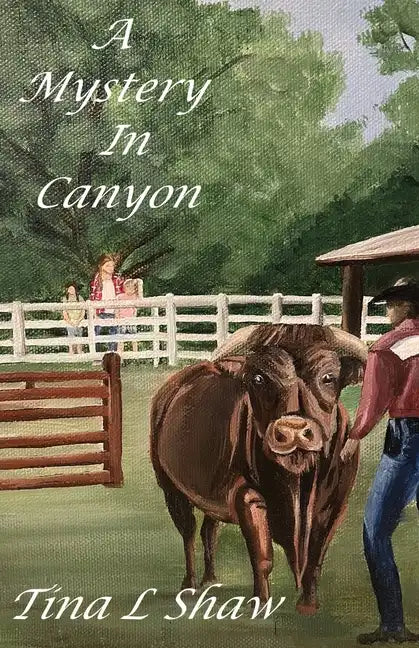 A Mystery In Canyon - Paperback