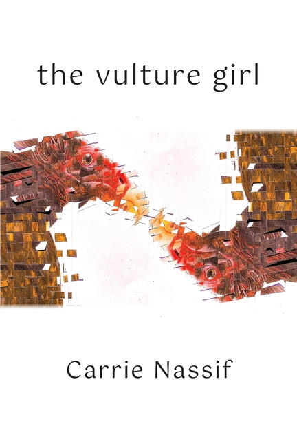 The Vulture Girl: Necessary and Sufficient Conditions - Paperback