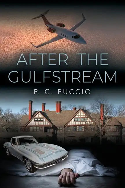 After the Gulfstream - Paperback