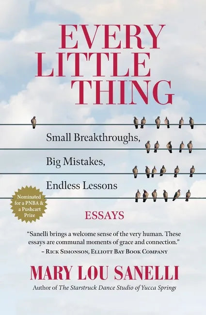 Every Little Thing: Small Breakthroughs, Big Mistakes, Endless Lessons - Paperback