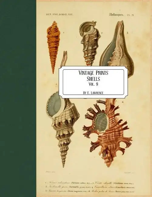 Vintage Prints: Shells: Vol. 9 - Paperback
