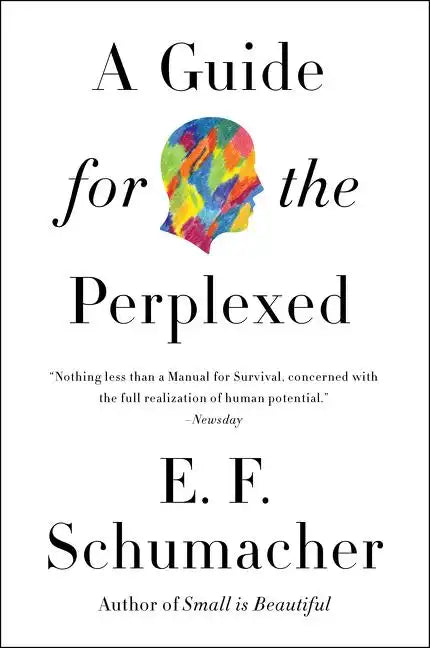 A Guide for the Perplexed - Paperback