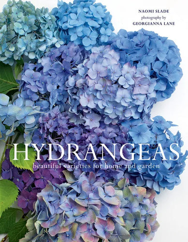 Hydrangeas: Beautiful Varieties for Home and Garden - Hardcover