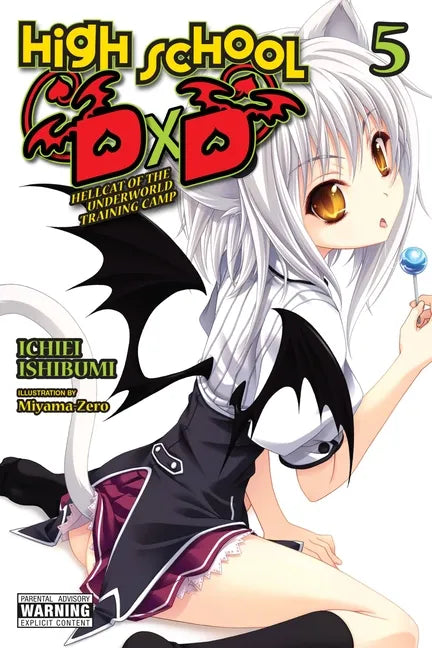 High School DXD, Vol. 5 (Light Novel): Hellcat of the Underworld Training Camp Volume 5 - Paperback