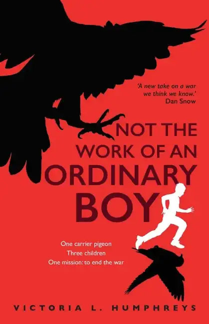 Not the Work of an Ordinary Boy - Paperback