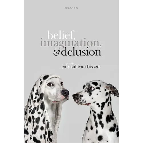 Belief, Imagination, and Delusion - Hardcover