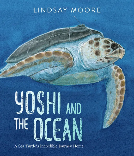 Yoshi and the Ocean: A Sea Turtle's Incredible Journey Home - Hardcover