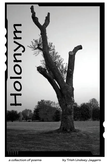 Holonym - Paperback