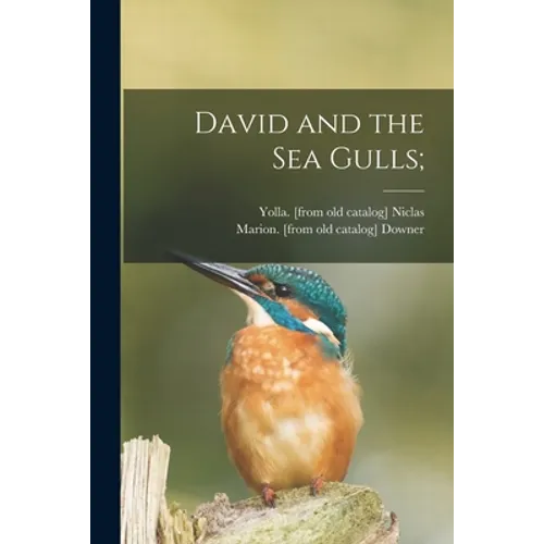 David and the Sea Gulls; - Paperback