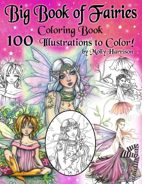 Big Book of Fairies Coloring Book - 100 Pages of Flower Fairies, Celestial Fairies, and Fairies with their Companions: 100 Line Art Illustrations to C - Paperback