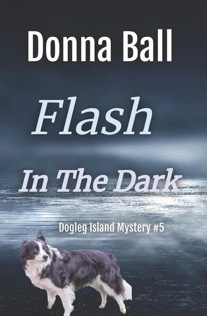 Flash in the Dark - Paperback