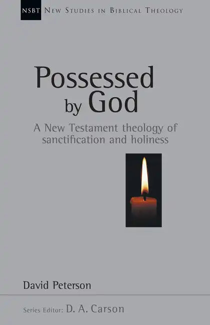 Possessed by God: A New Testament Theology of Sanctification and Holiness - Paperback