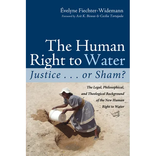 The Human Right to Water: Justice . . . or Sham?: The Legal, Philosophical, and Theological Background of the New Human Right to Water - Paperback