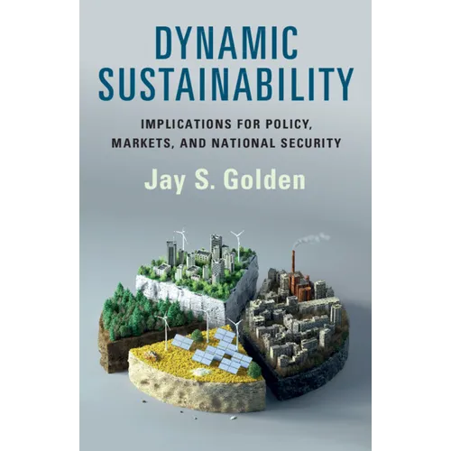 Dynamic Sustainability - Paperback