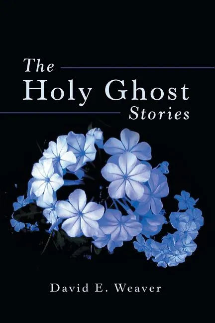 The Holy Ghost Stories - Paperback