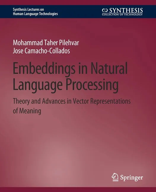 Embeddings in Natural Language Processing: Theory and Advances in Vector Representations of Meaning - Paperback