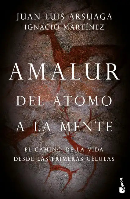 Amalur - Paperback