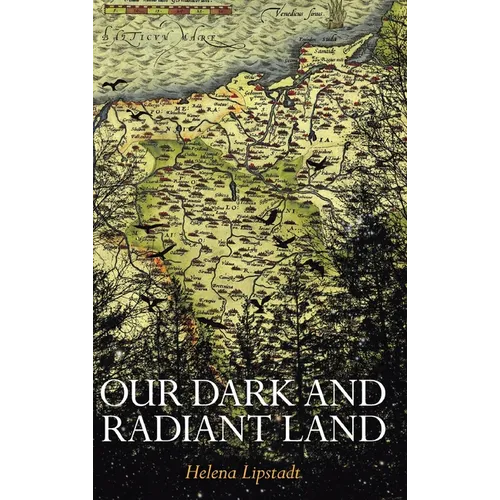 Our Dark and Radiant Land - Hardcover